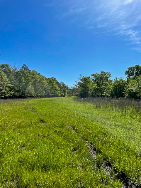 8763 Fm 356 Property Photo 5