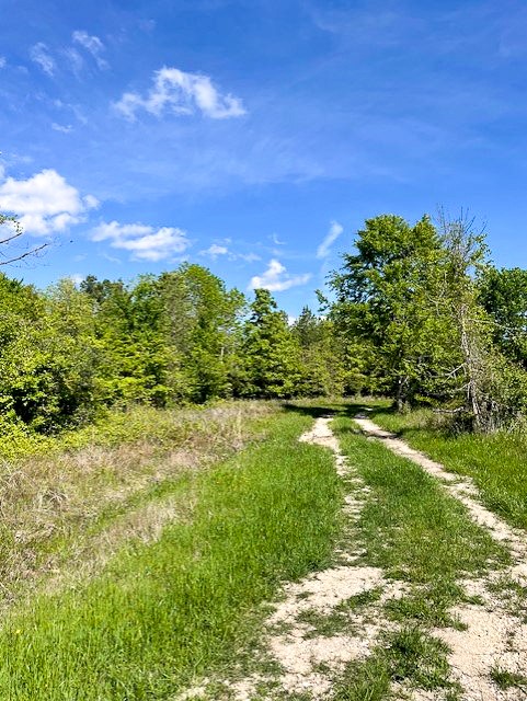 8763 Fm 356 Property Photo 6