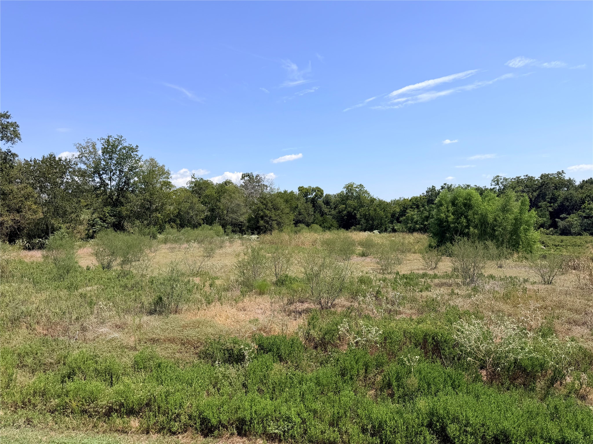 Lot 36 Winding Branch Property Photo 1