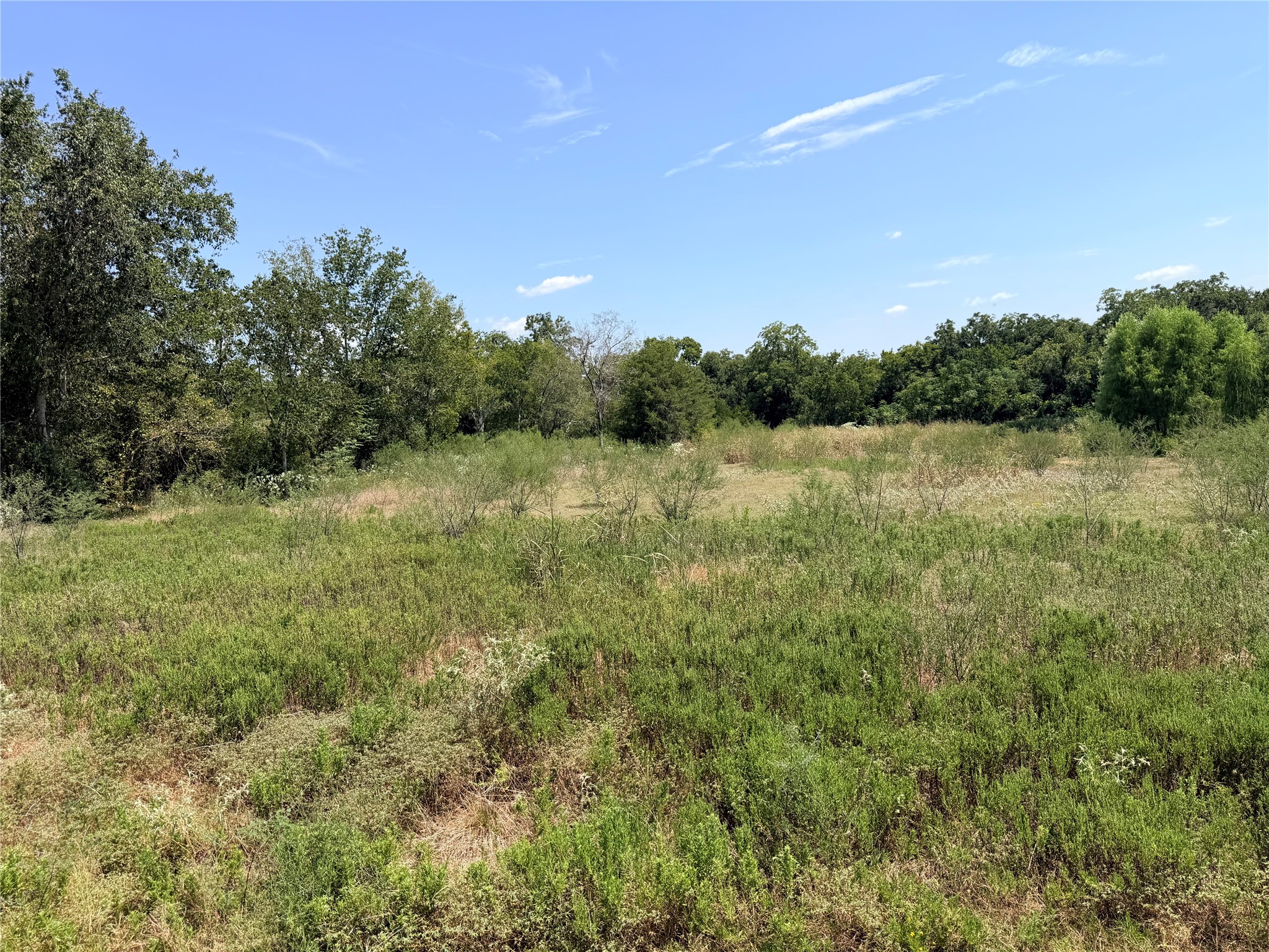 Lot 36 Winding Branch Property Photo 3
