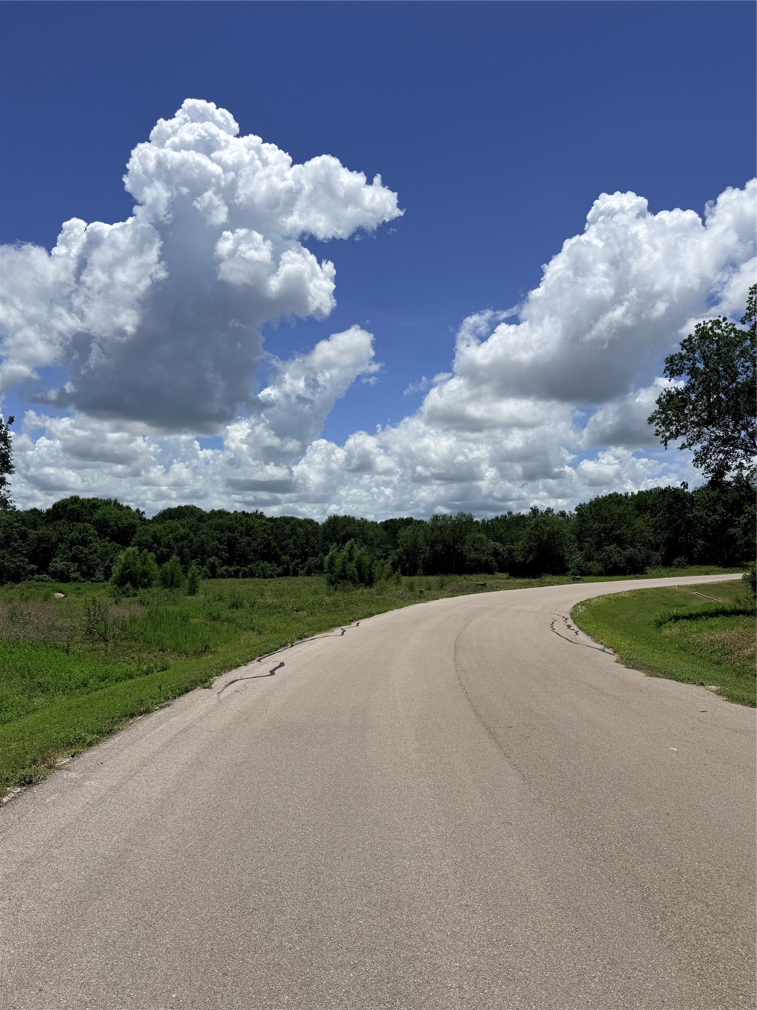 Lot 36 Winding Branch Property Photo 6