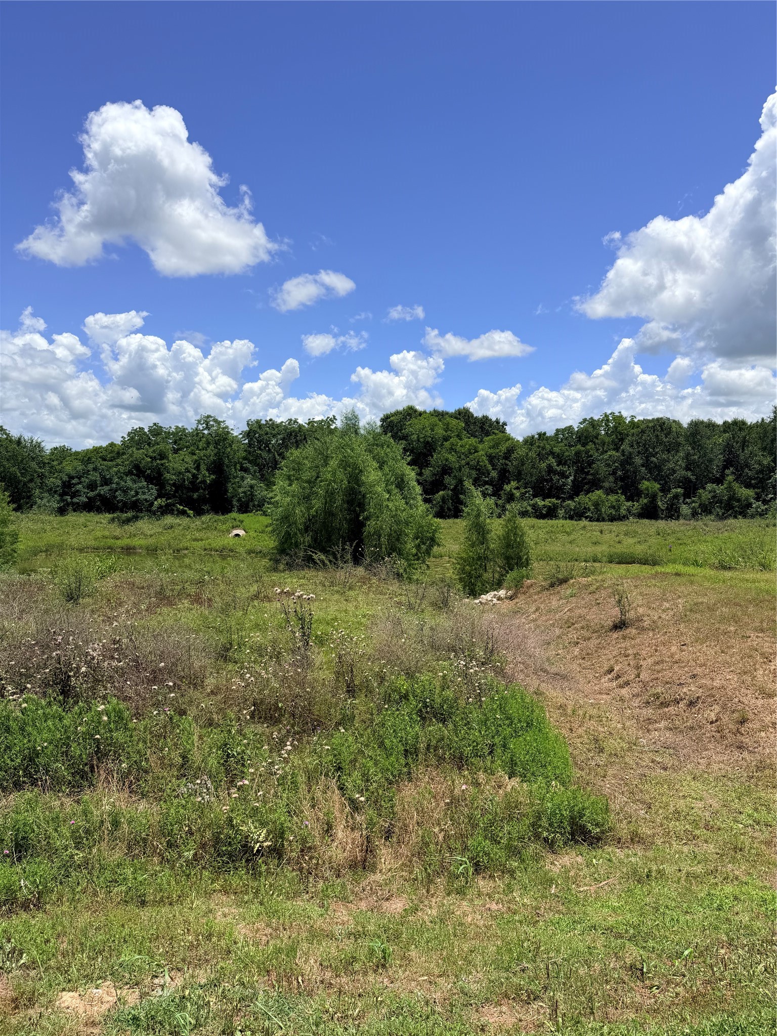Lot 36 Winding Branch Property Photo 8