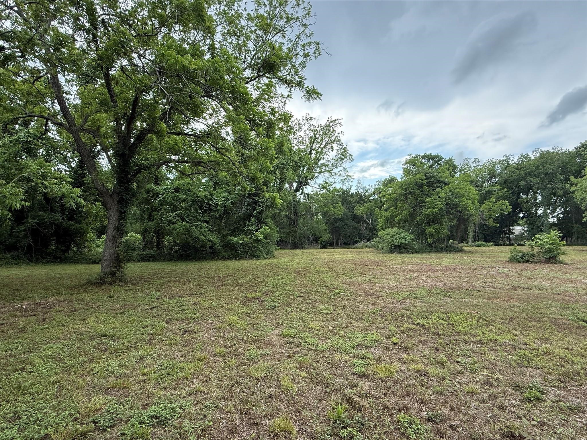 137 Fm 359 Rear Road Property Photo 1