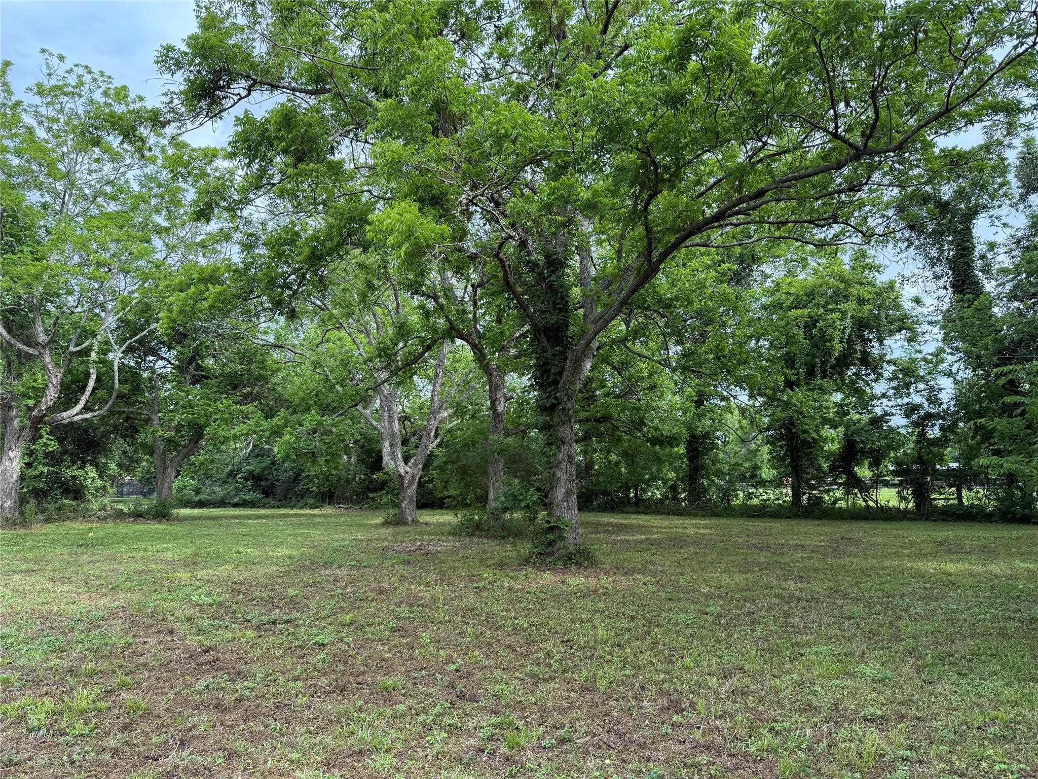 137 Fm 359 Rear Road Property Photo 3