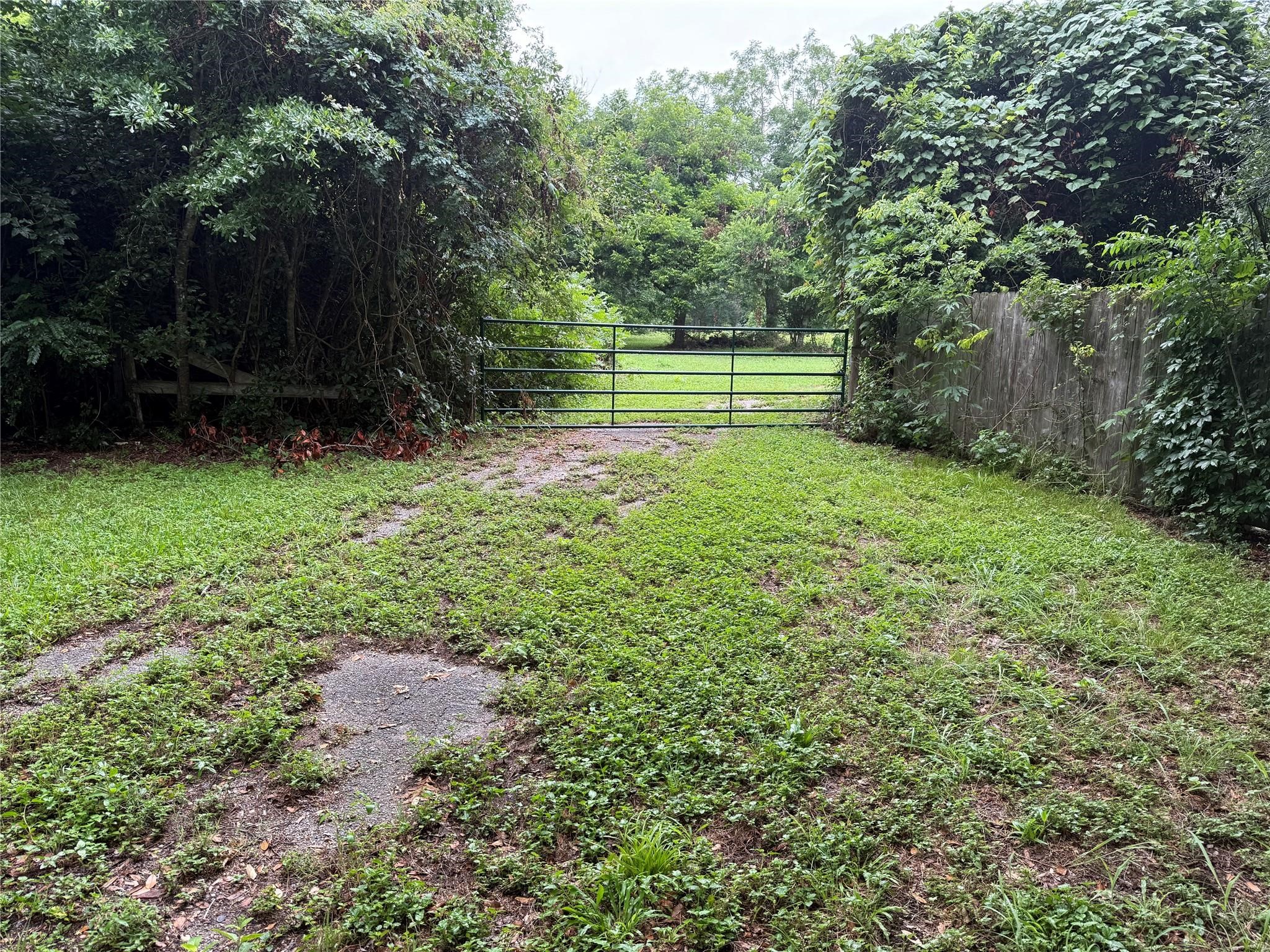 137 Fm 359 Rear Road Property Photo 7