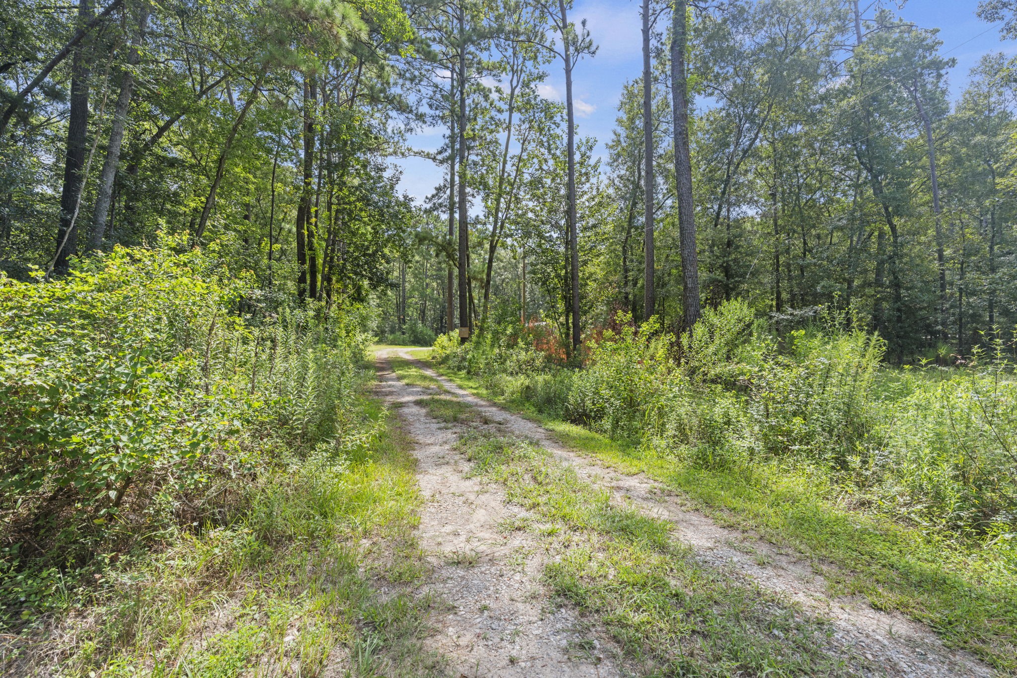 40 Private Road 2317-1 Property Photo 34