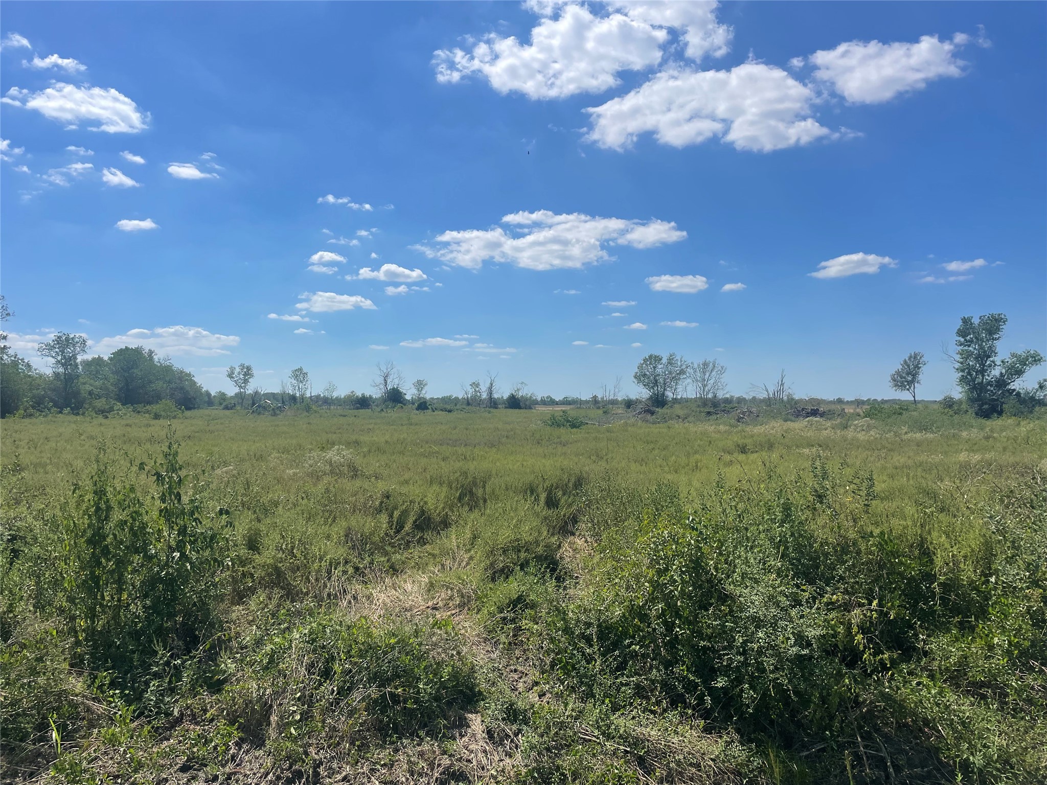 7602 Fm 360 Road Property Photo 1