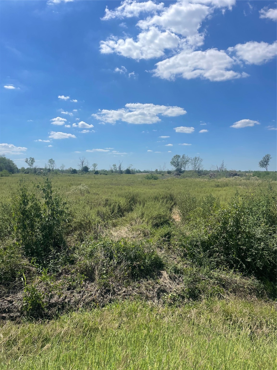 7602 Fm 360 Road Property Photo 2