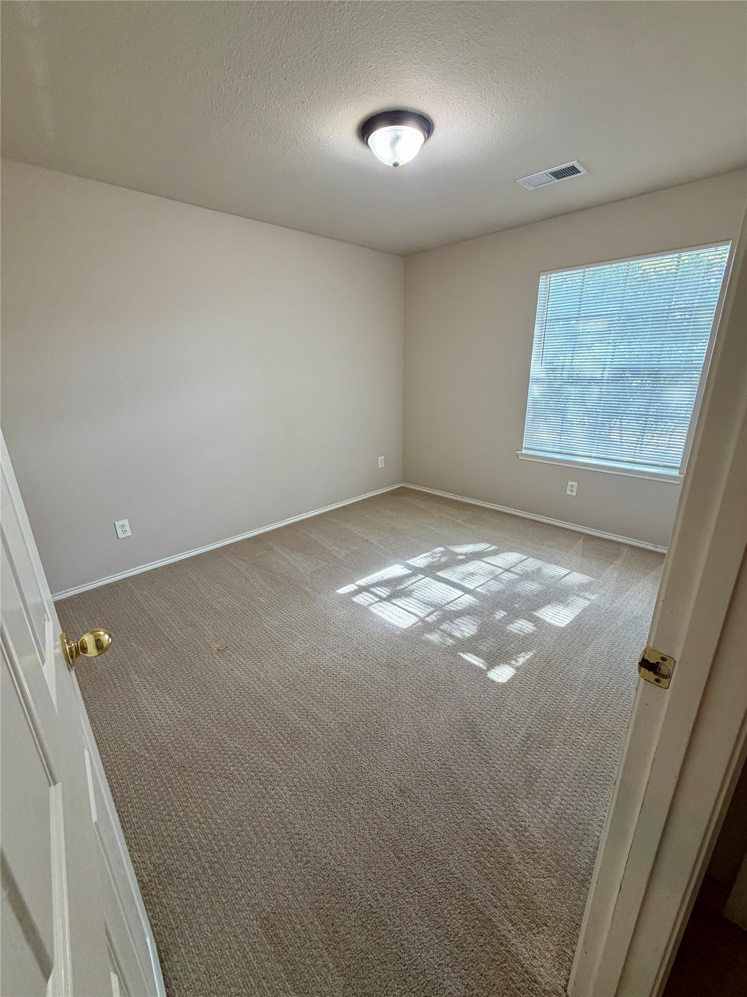 3715 Lindenfield Drive Property Photo 22