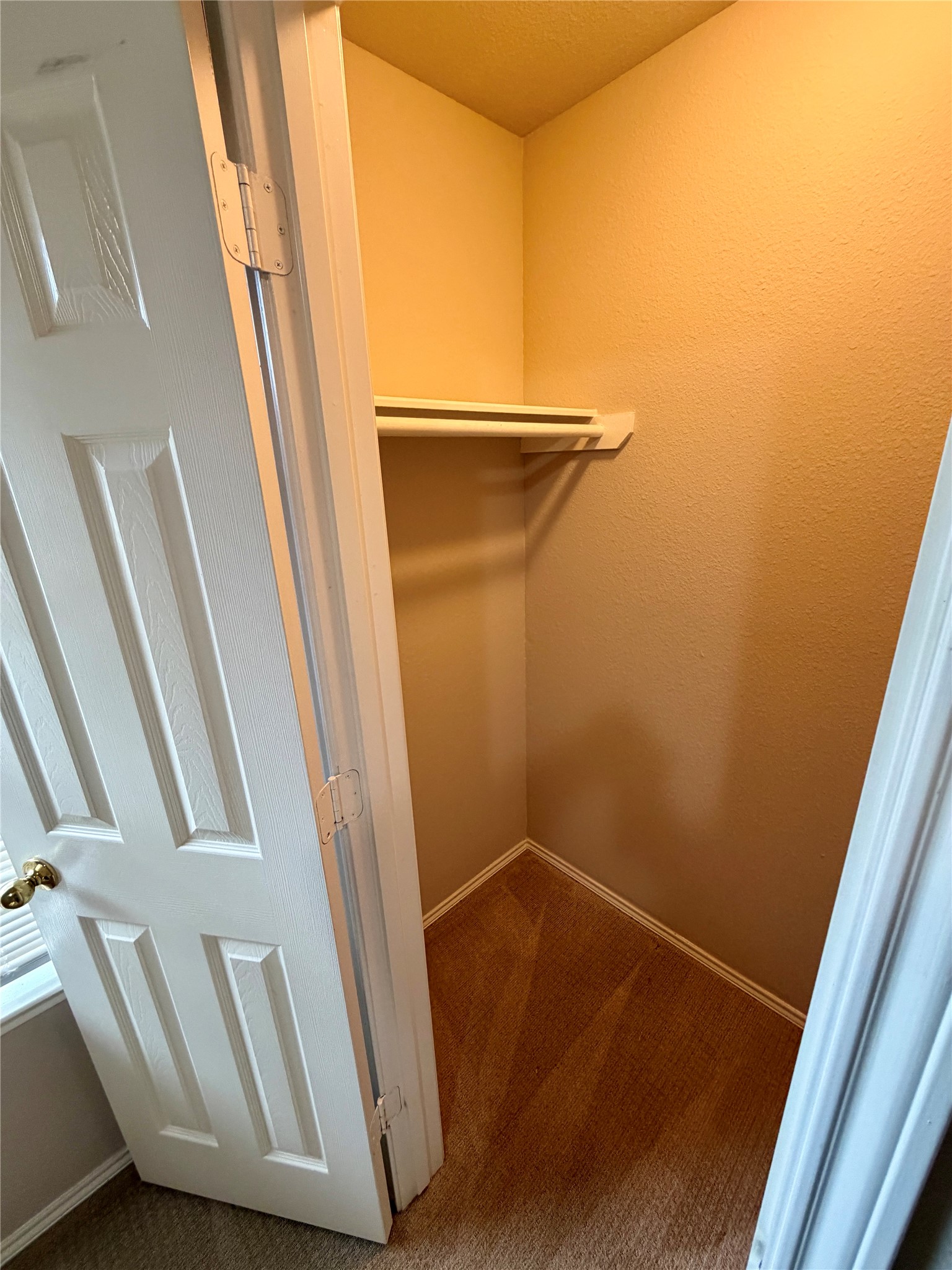 3715 Lindenfield Drive Property Photo 23