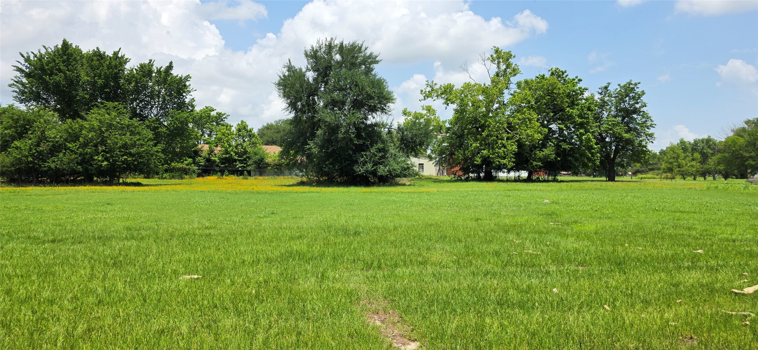 Tbd W Blackshear Street Property Photo 1