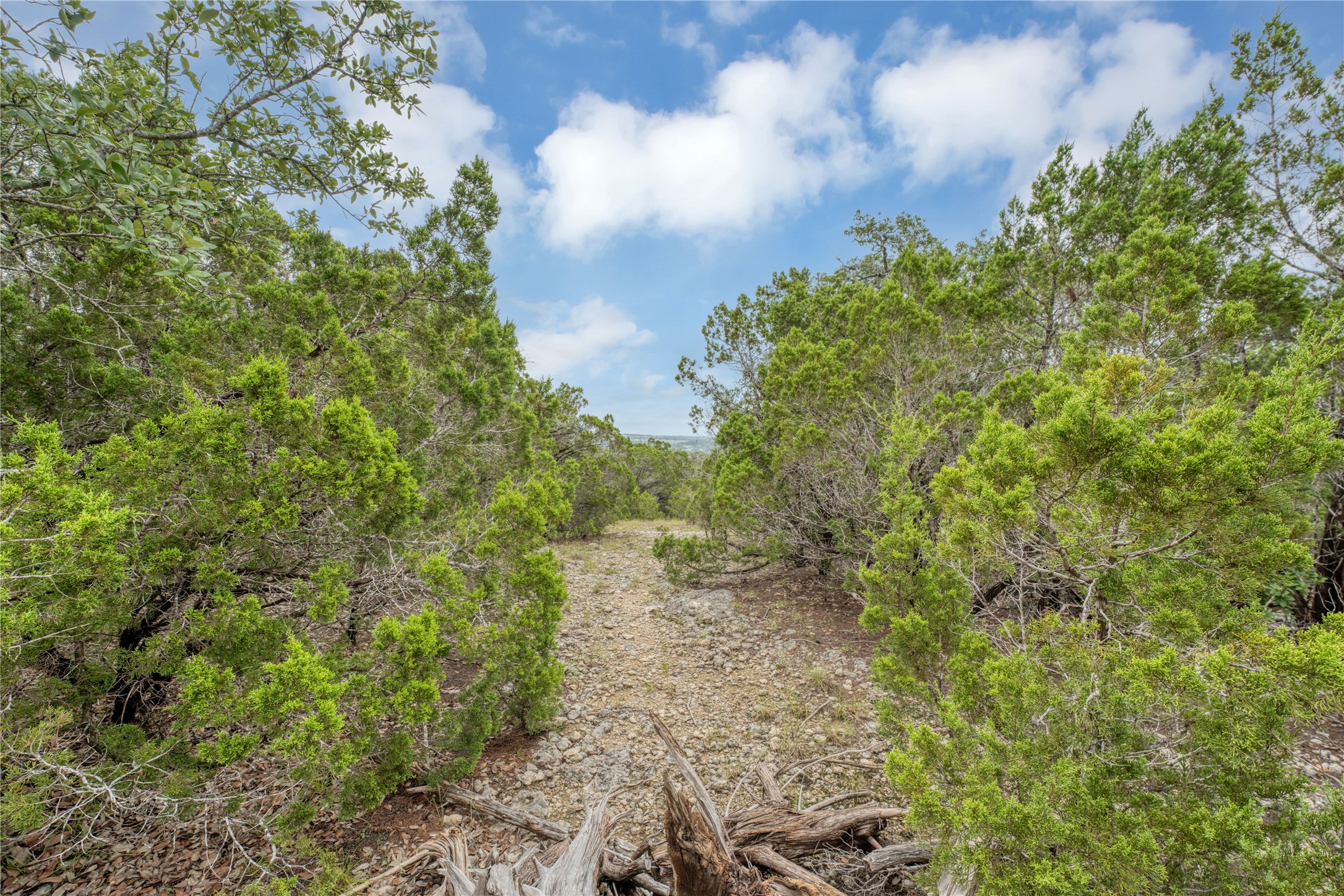 120 Patriotic Drive Property Photo 2