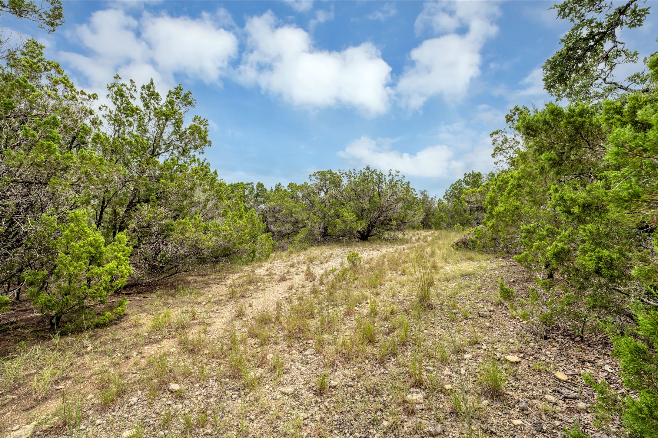 120 Patriotic Drive Property Photo 5