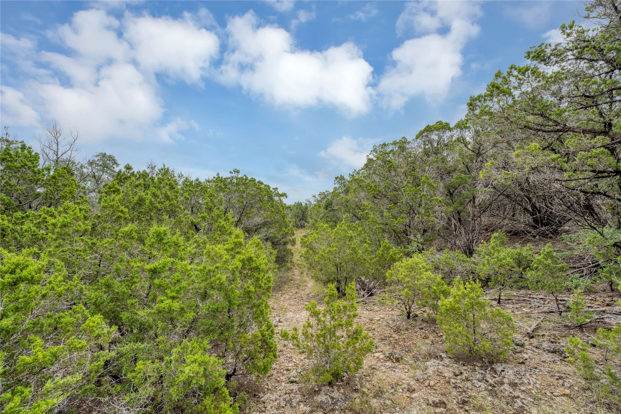 120 Patriotic Drive Property Photo 8