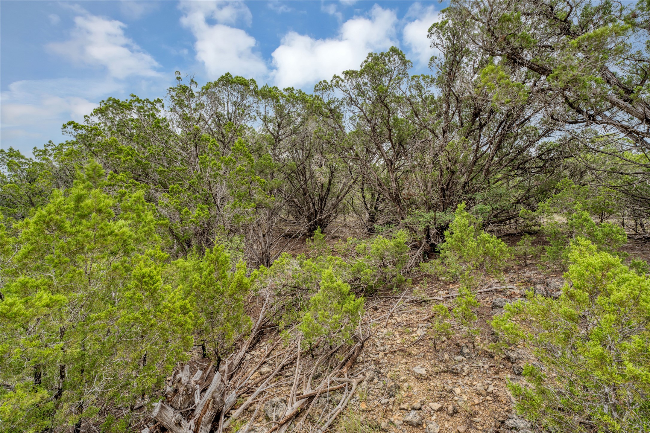 120 Patriotic Drive Property Photo 9