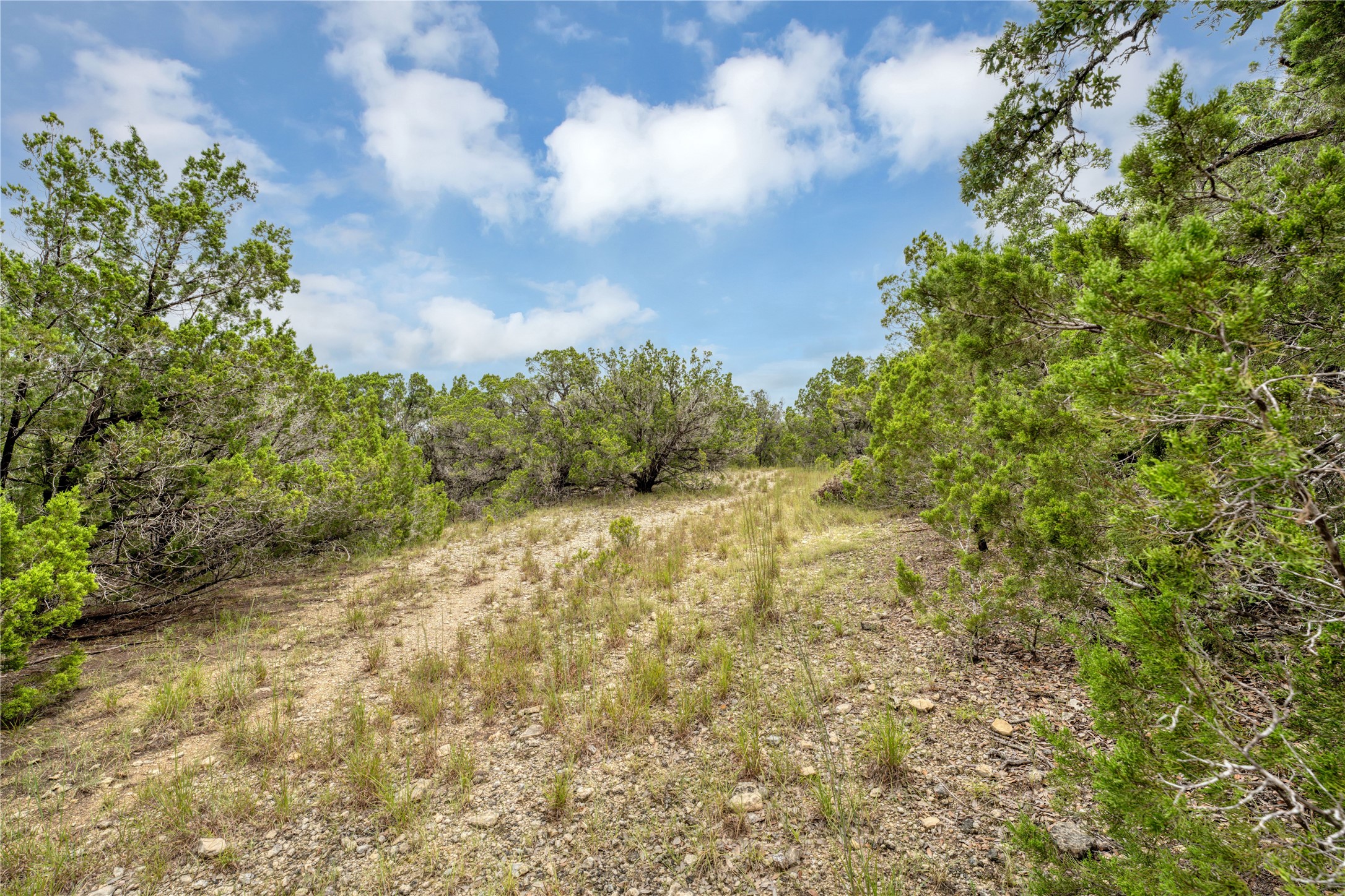 120 Patriotic Drive Property Photo 10