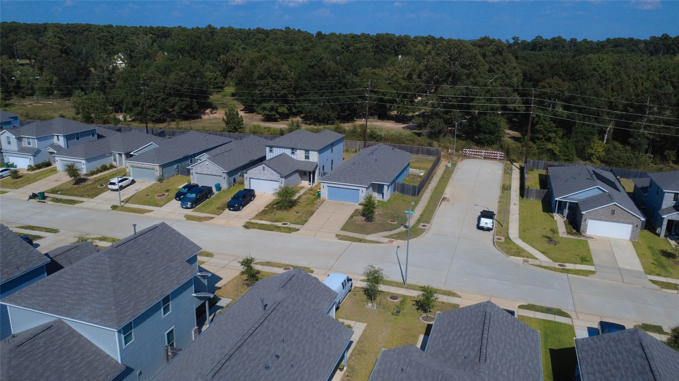 25718 Boxwood Hedge Lane Property Photo 2