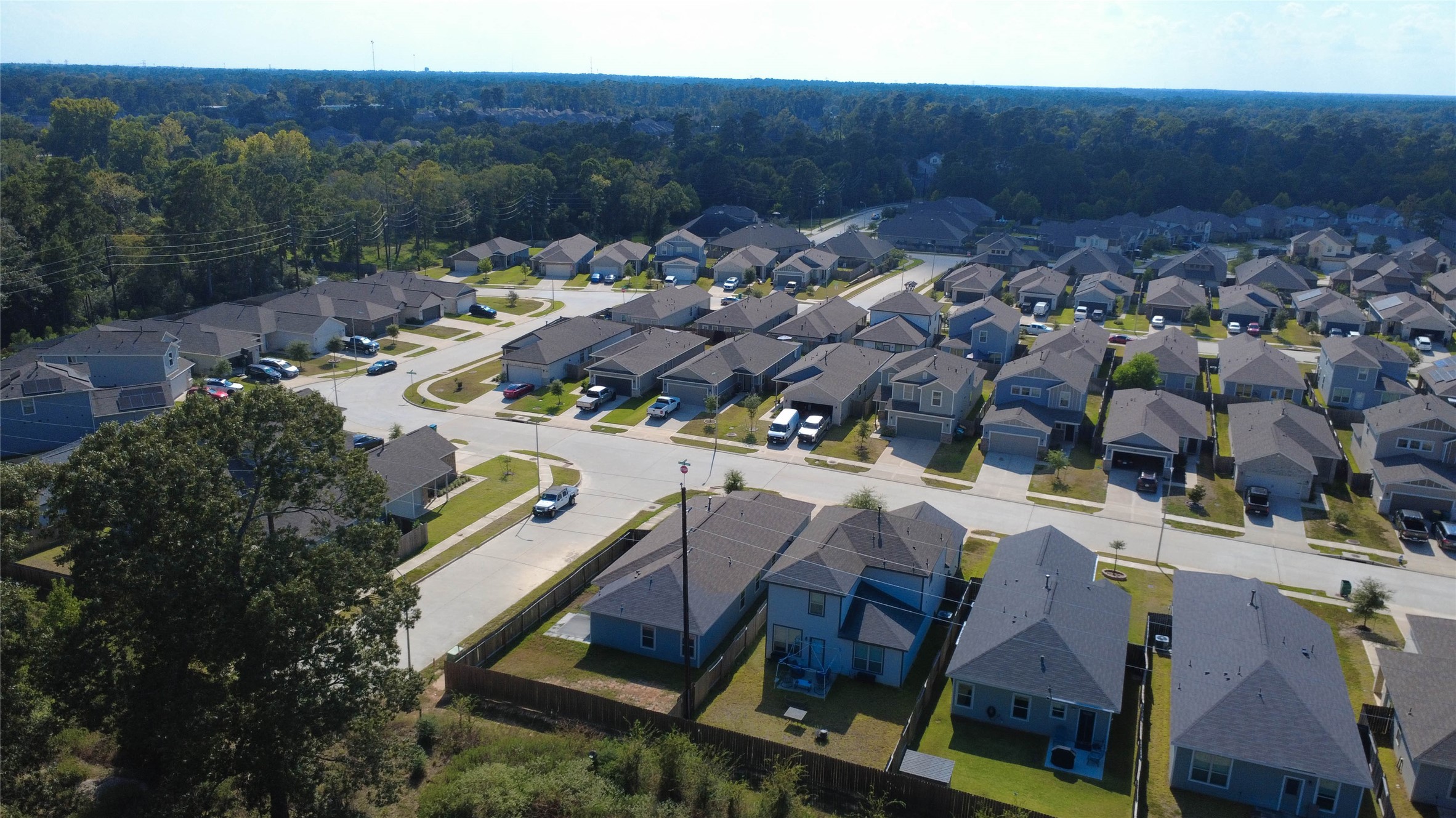 25718 Boxwood Hedge Lane Property Photo 3
