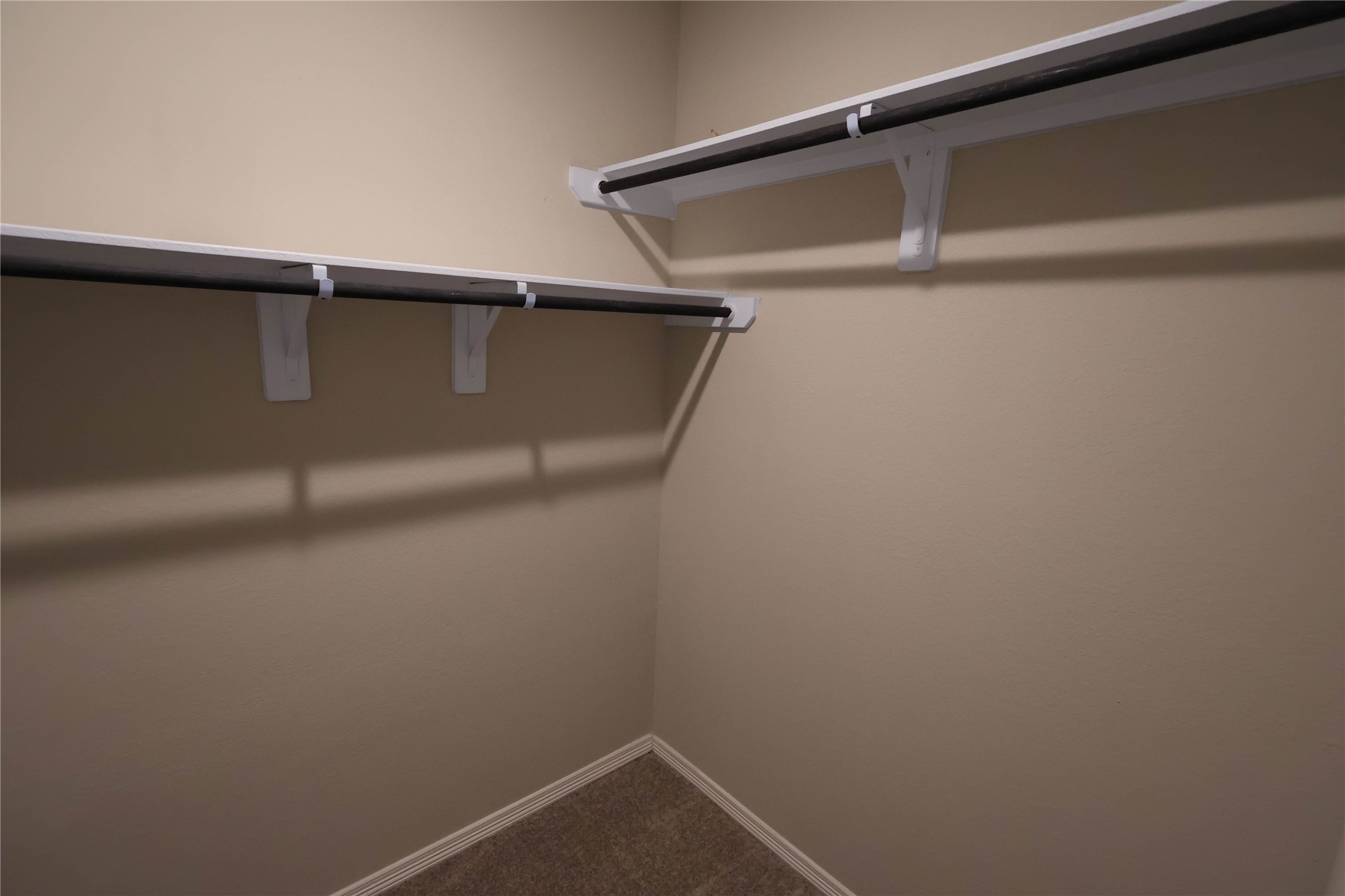 25718 Boxwood Hedge Lane Property Photo 8