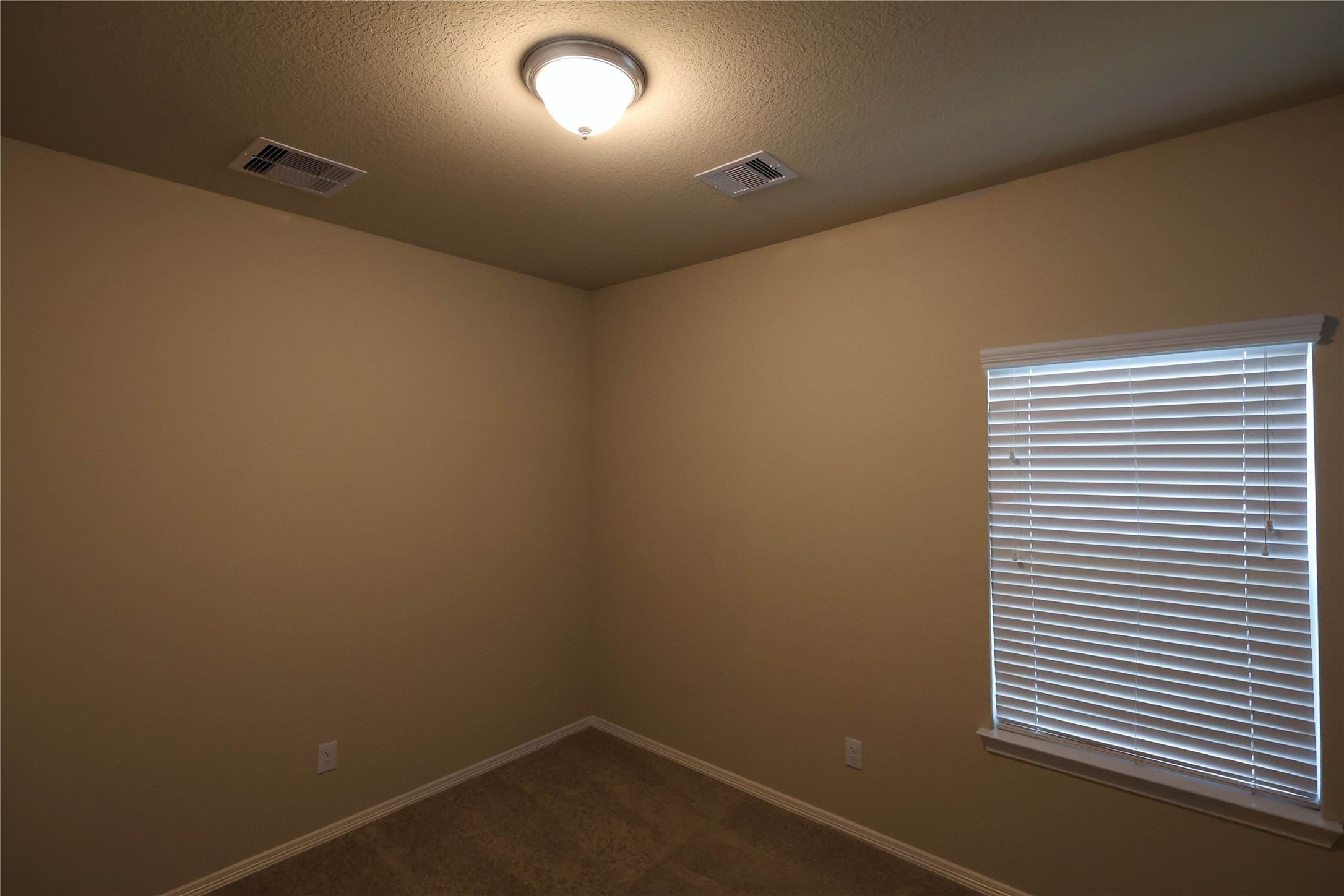 25718 Boxwood Hedge Lane Property Photo 9