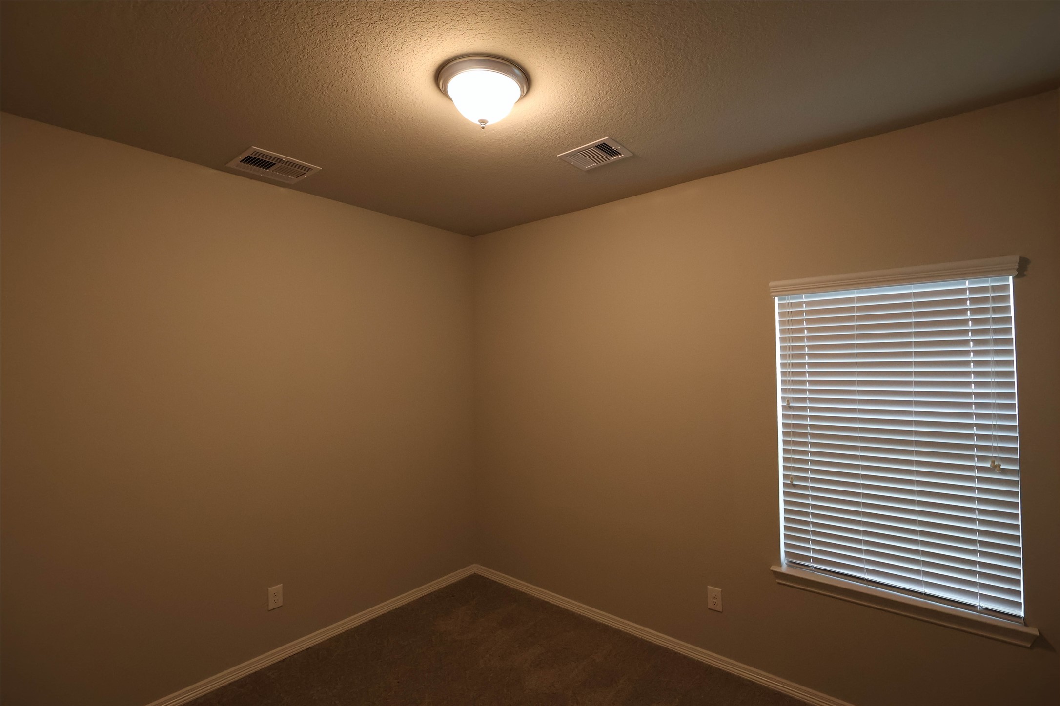 25718 Boxwood Hedge Lane Property Photo 11