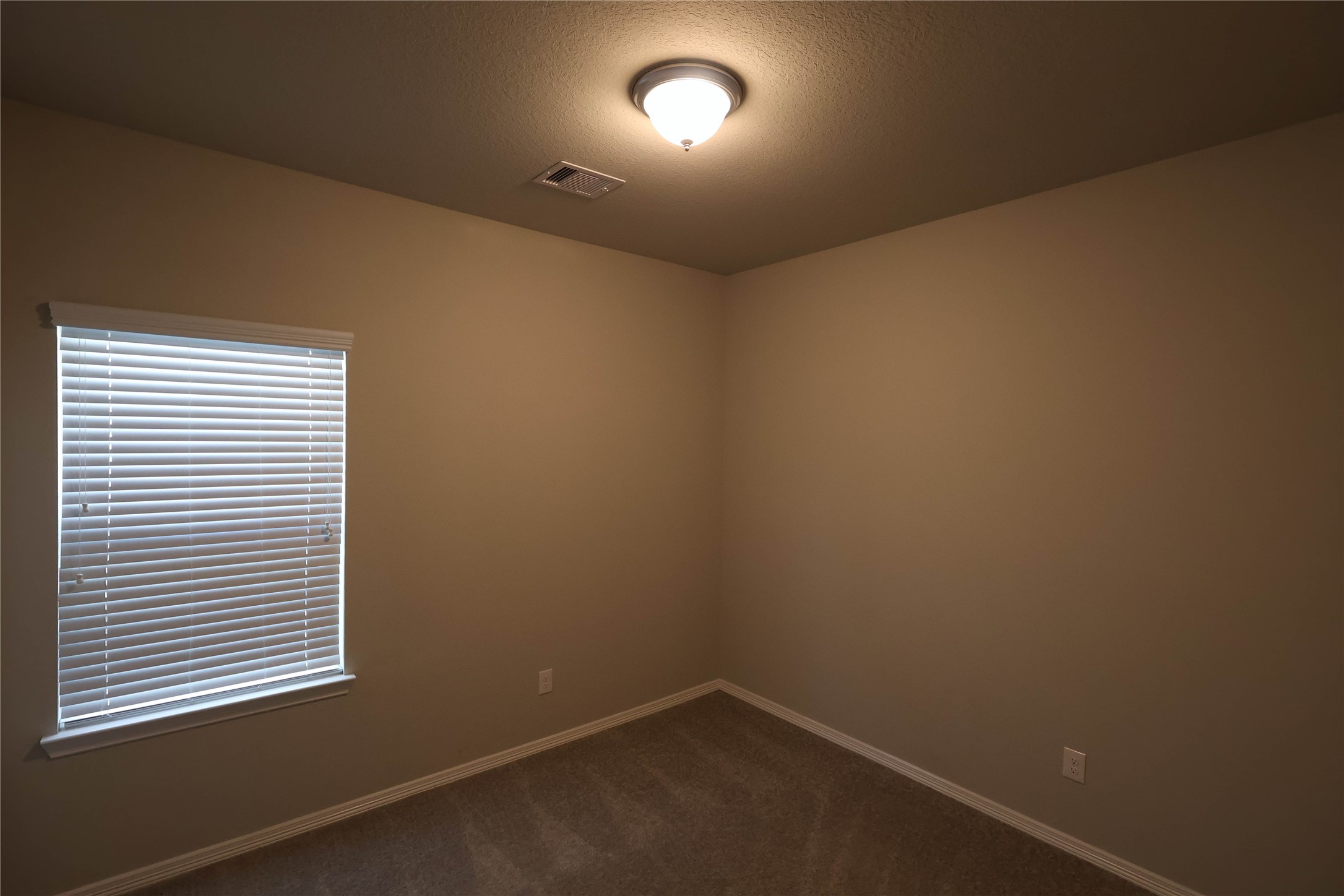 25718 Boxwood Hedge Lane Property Photo 12