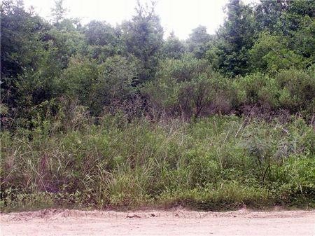 000 County Road 2926 Property Photo 1