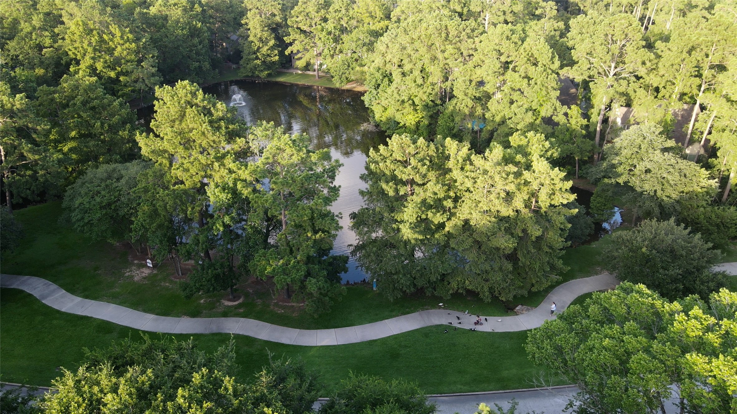 259 E Rainbow Ridge Circle Property Photo 44