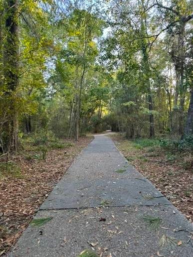 259 E Rainbow Ridge Circle Property Photo 45