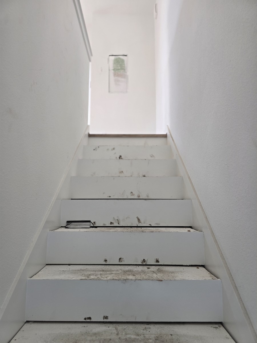 1206 Schweikhardt Street B Property Photo 13