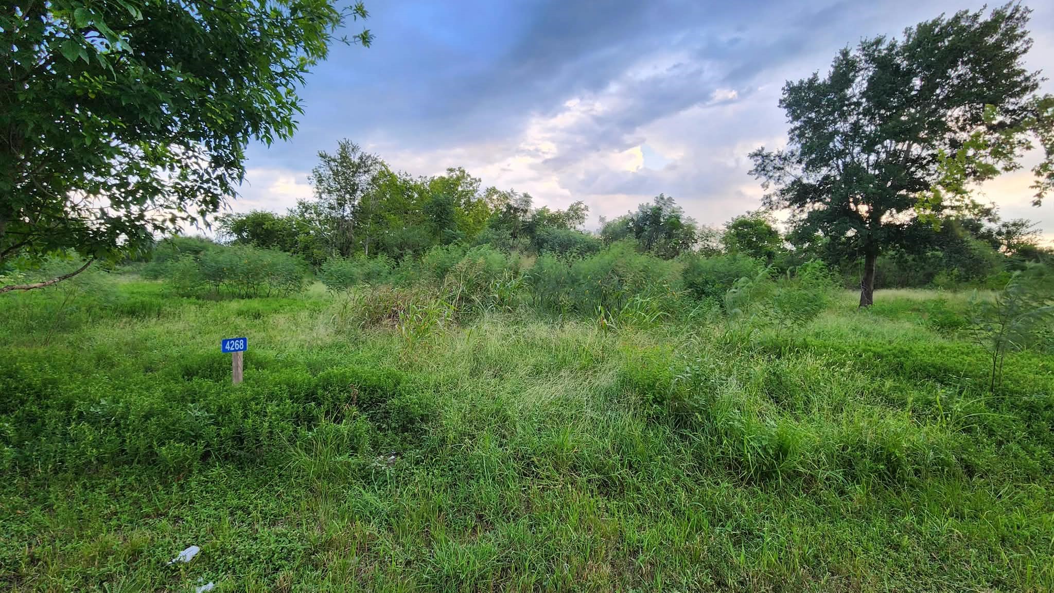 4268 Sealy Road Property Photo 1