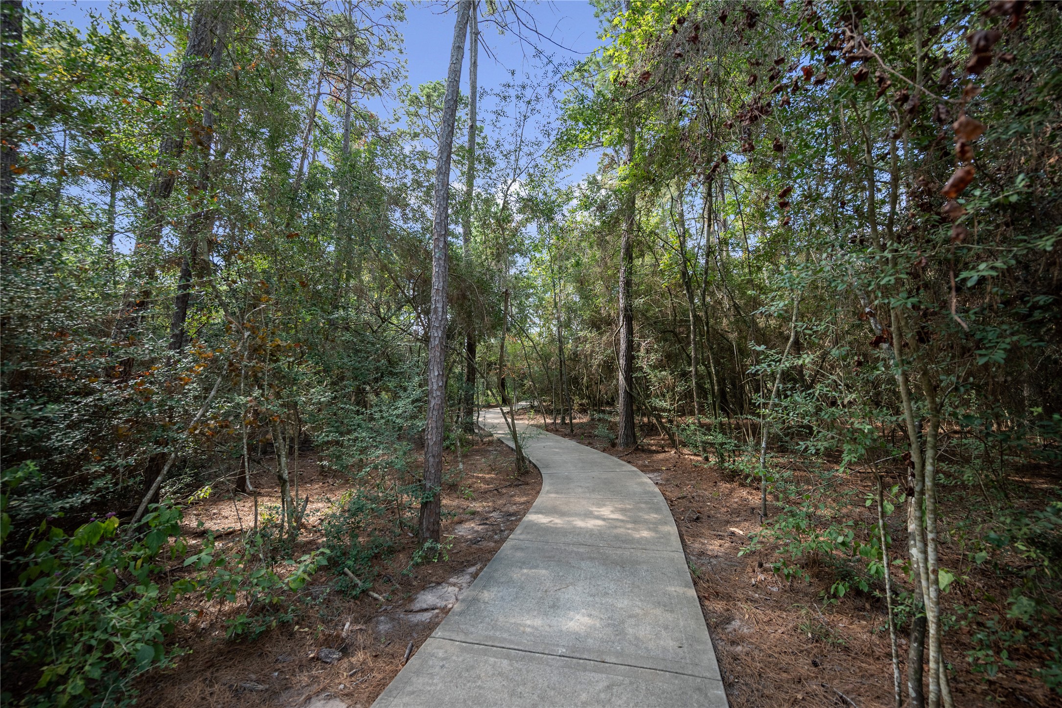 622 Platinum Stone Lane Property Photo 49
