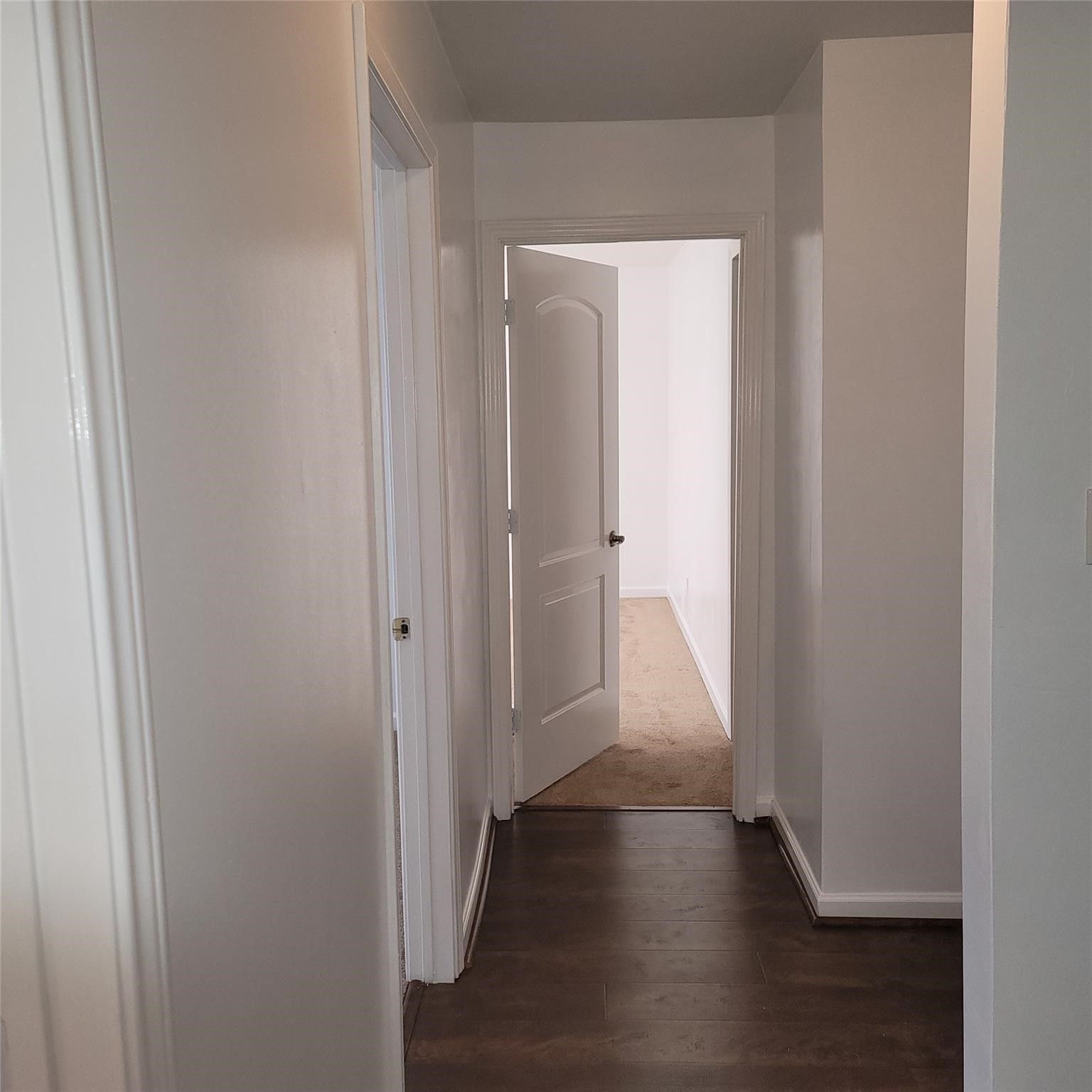 5103 Willow Glen Drive Property Photo 15
