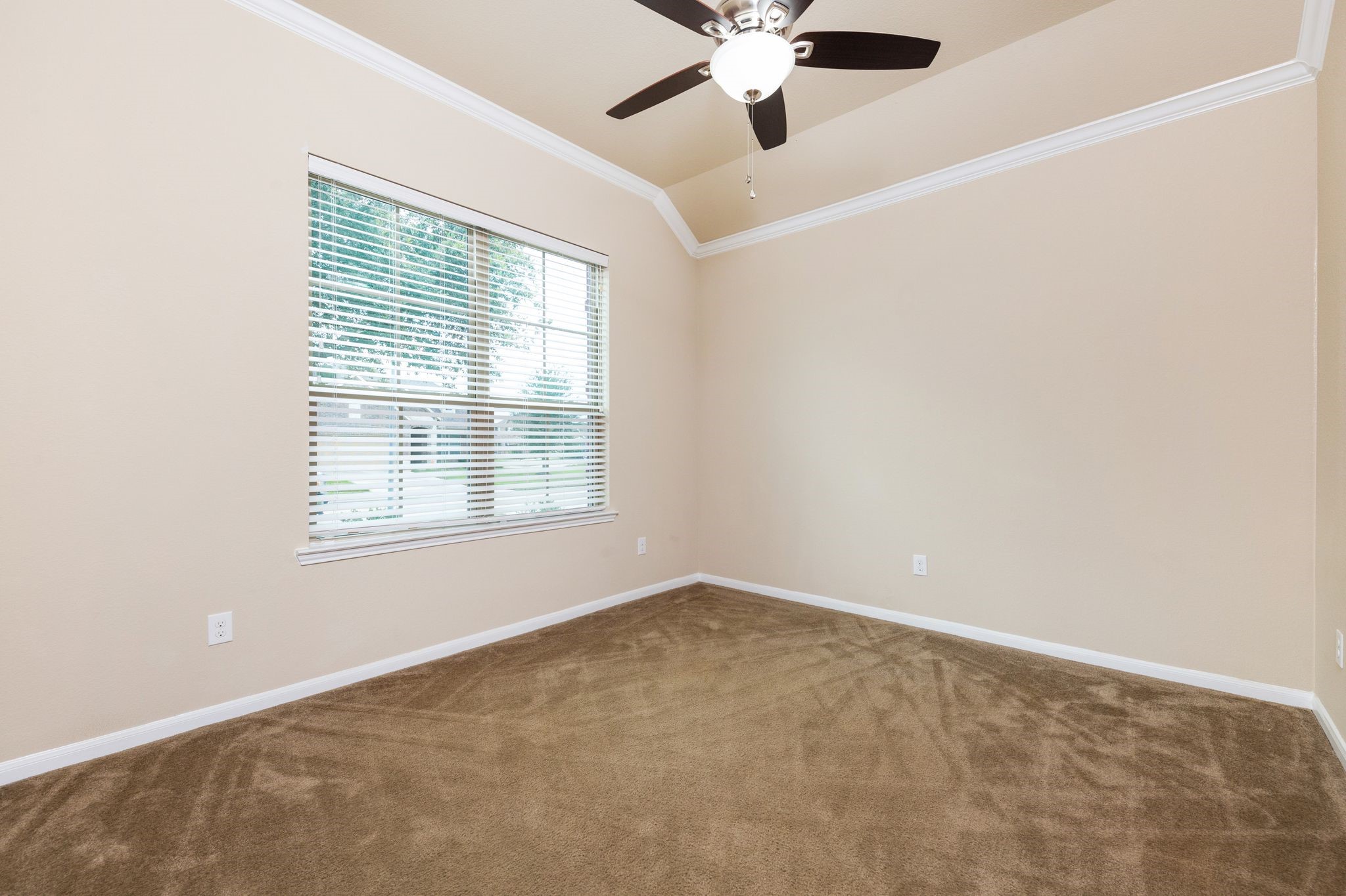 407 Iris Rose Ct Property Photo 5