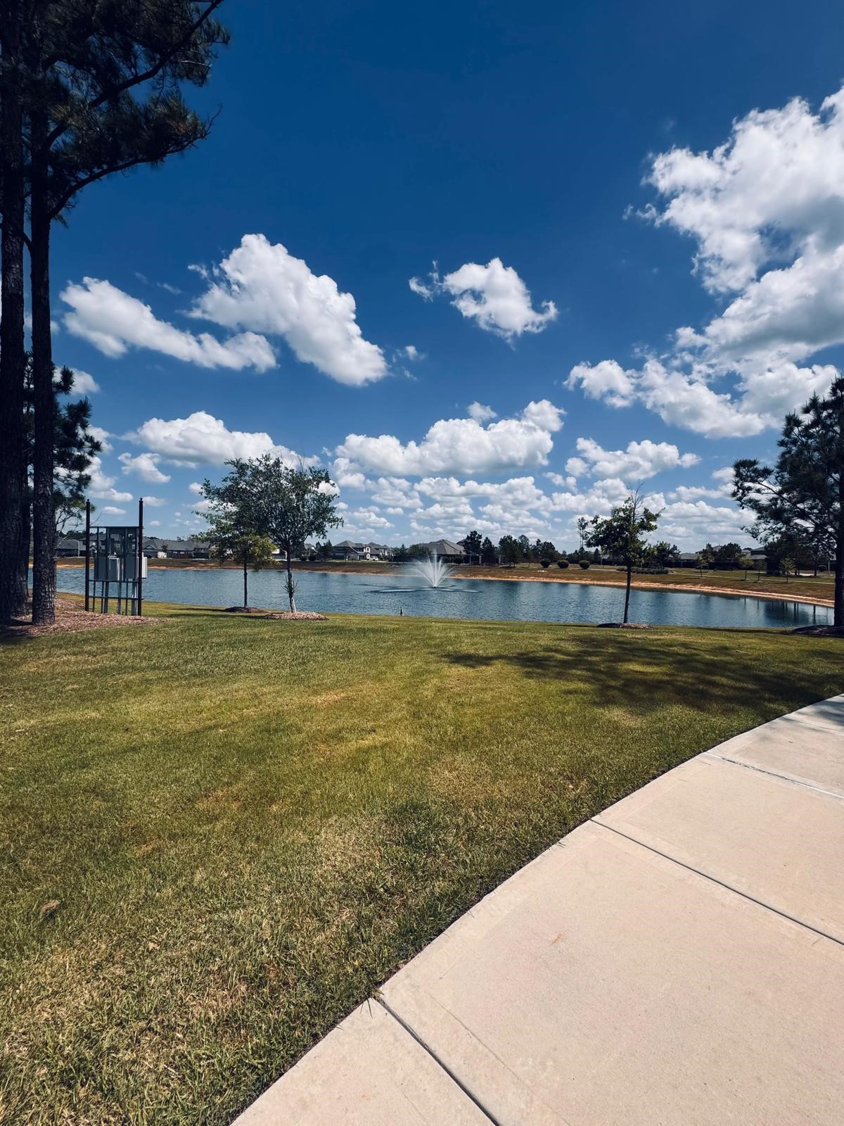 15337 Dapple Bluff Lane Property Photo 18