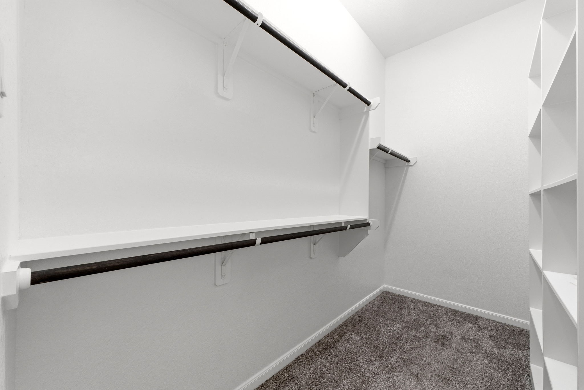 16226 Rattlesnake Run Trail Property Photo 17