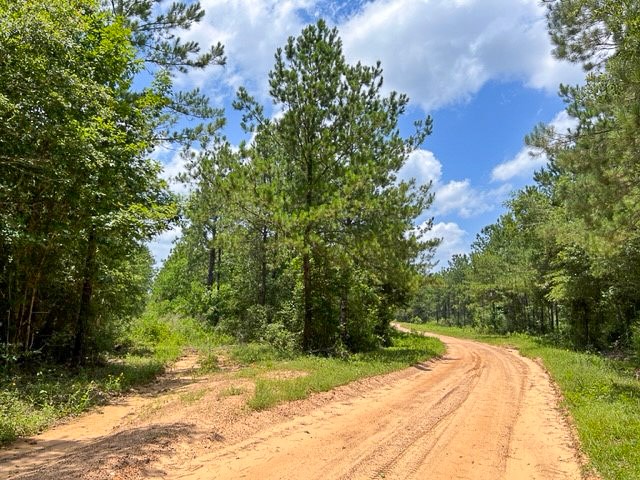 0 County Road 1425 Property Photo 5