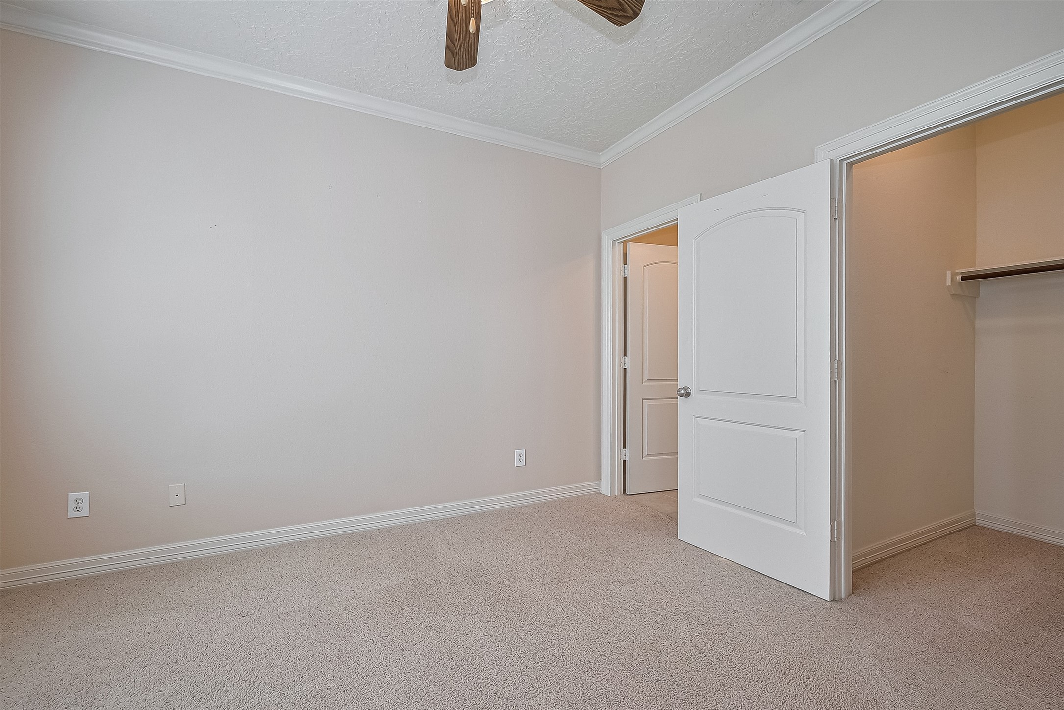 1419 Thompson Street Property Photo 29