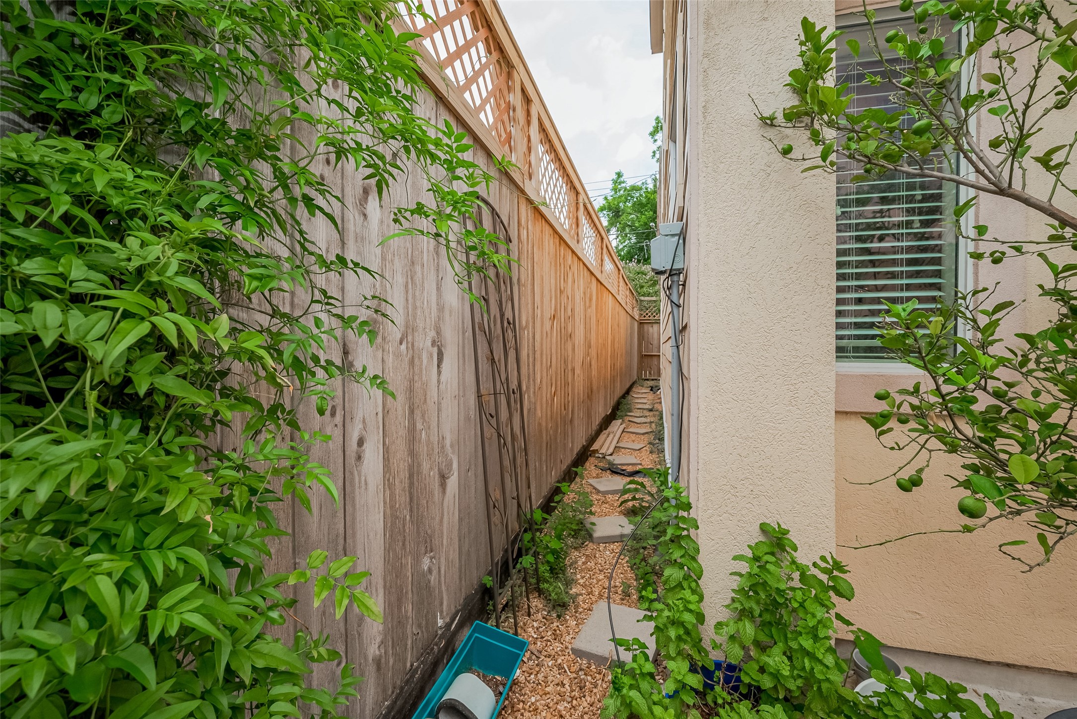 1419 Thompson Street Property Photo 48