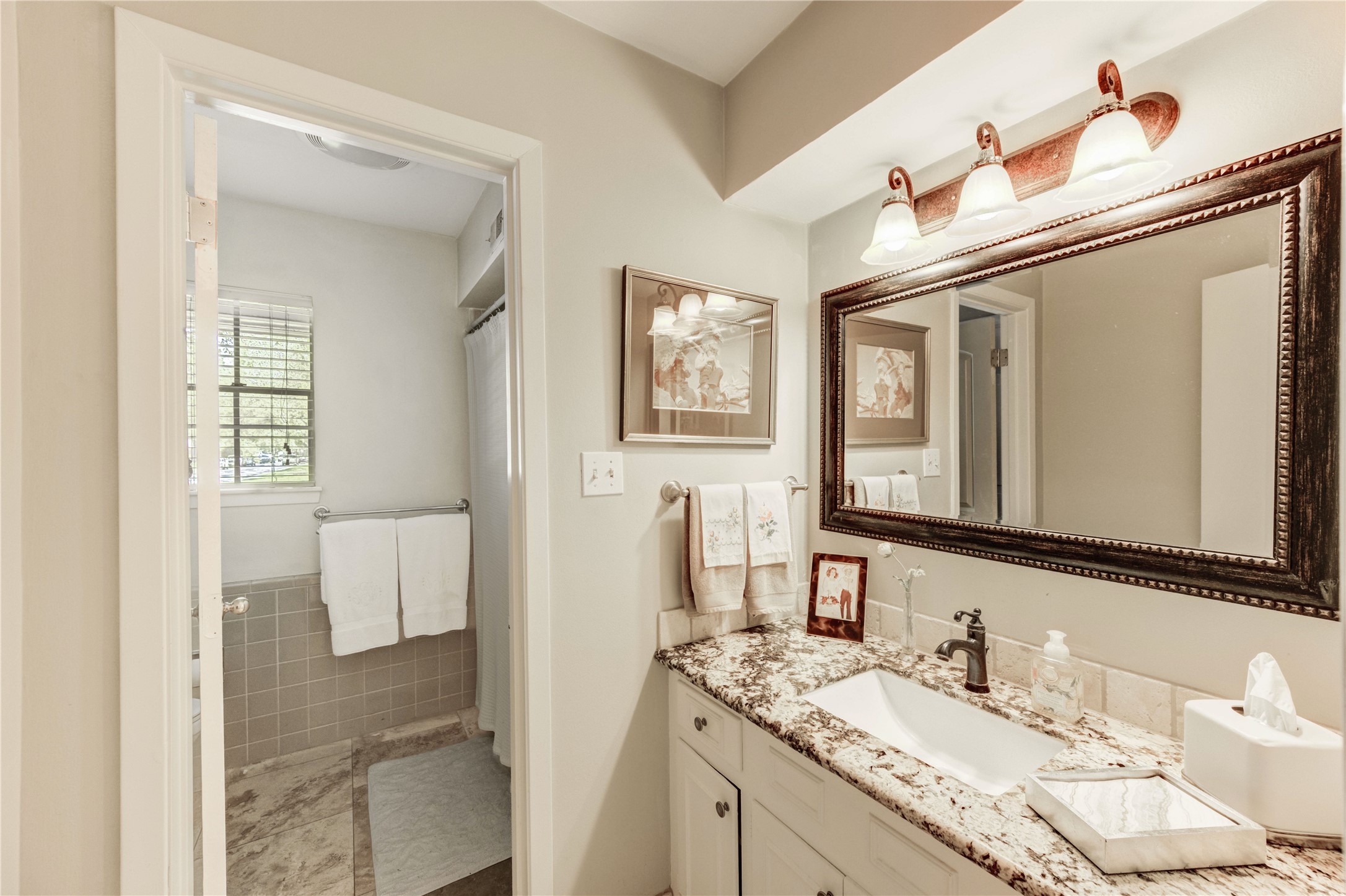 2602 Briarbrook Drive Property Photo 17