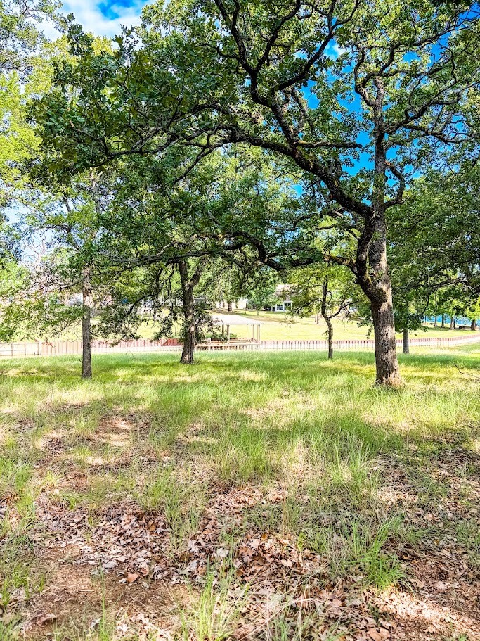 14216 Clark Drive Property Photo 2