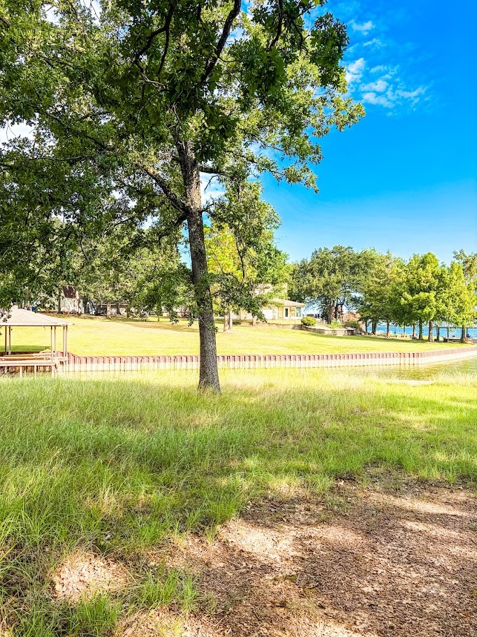 14216 Clark Drive Property Photo 3