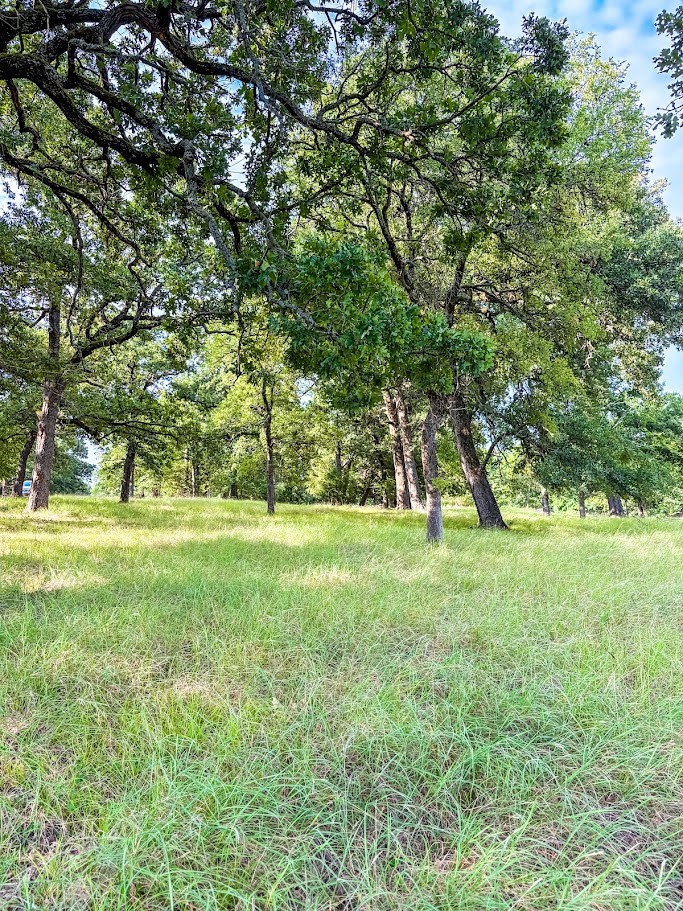 14216 Clark Drive Property Photo 8