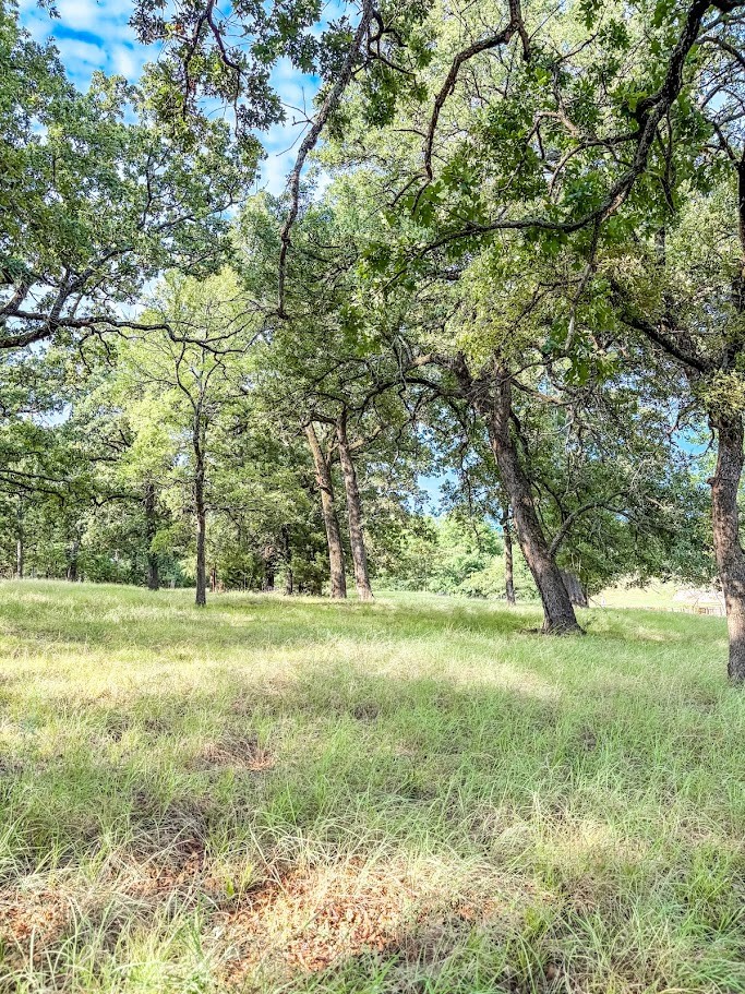 14216 Clark Drive Property Photo 9