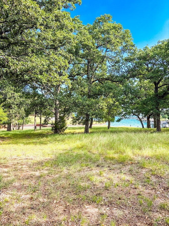 14216 Clark Drive Property Photo 10