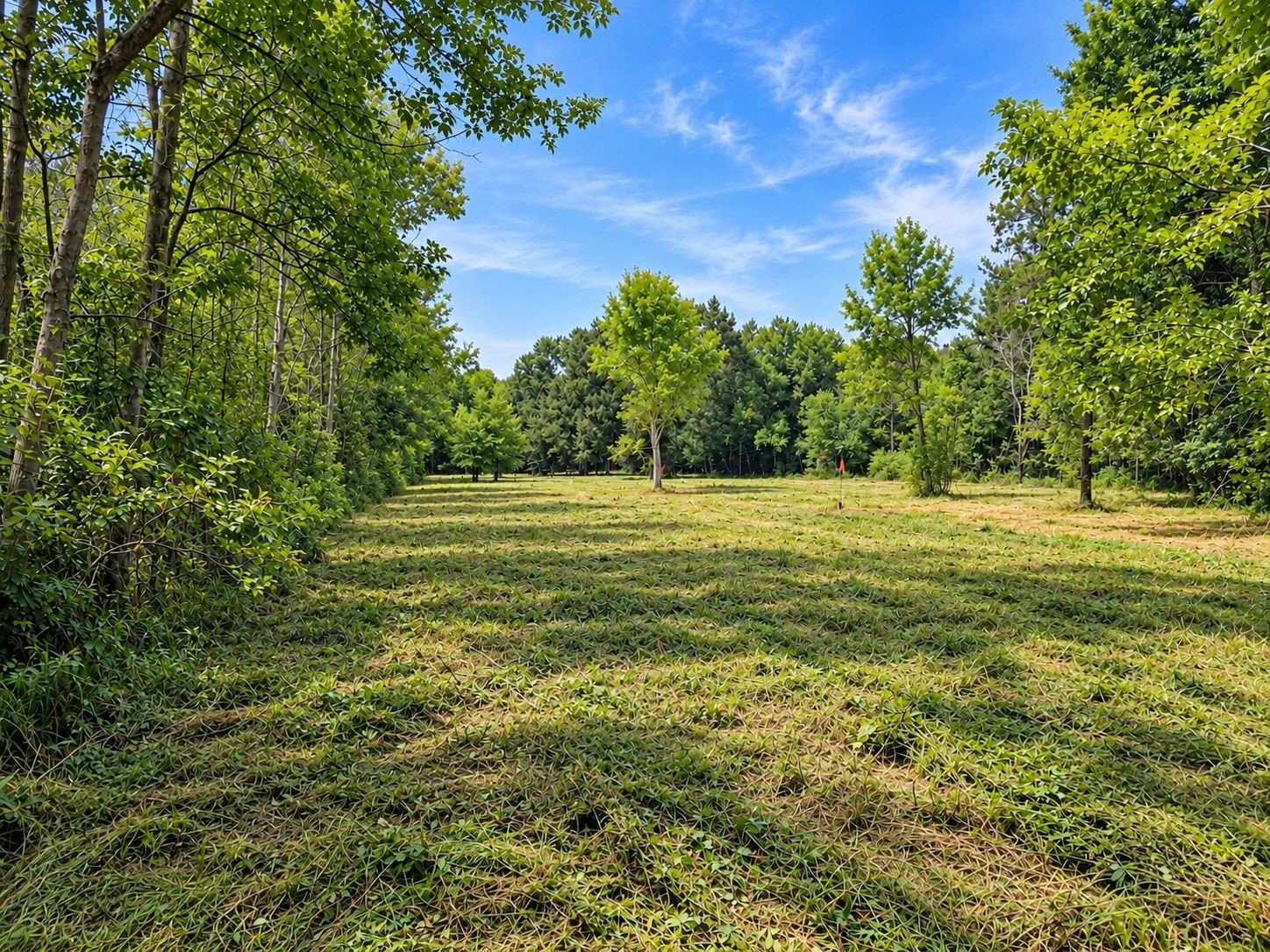 417 County Road 6881 N Property Photo 5