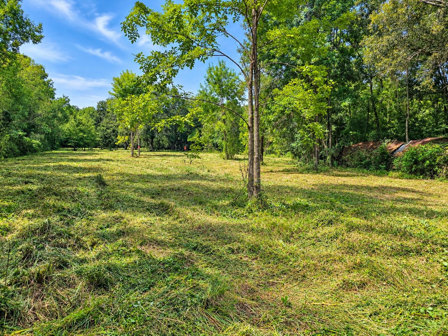417 County Road 6881 N Property Photo 6