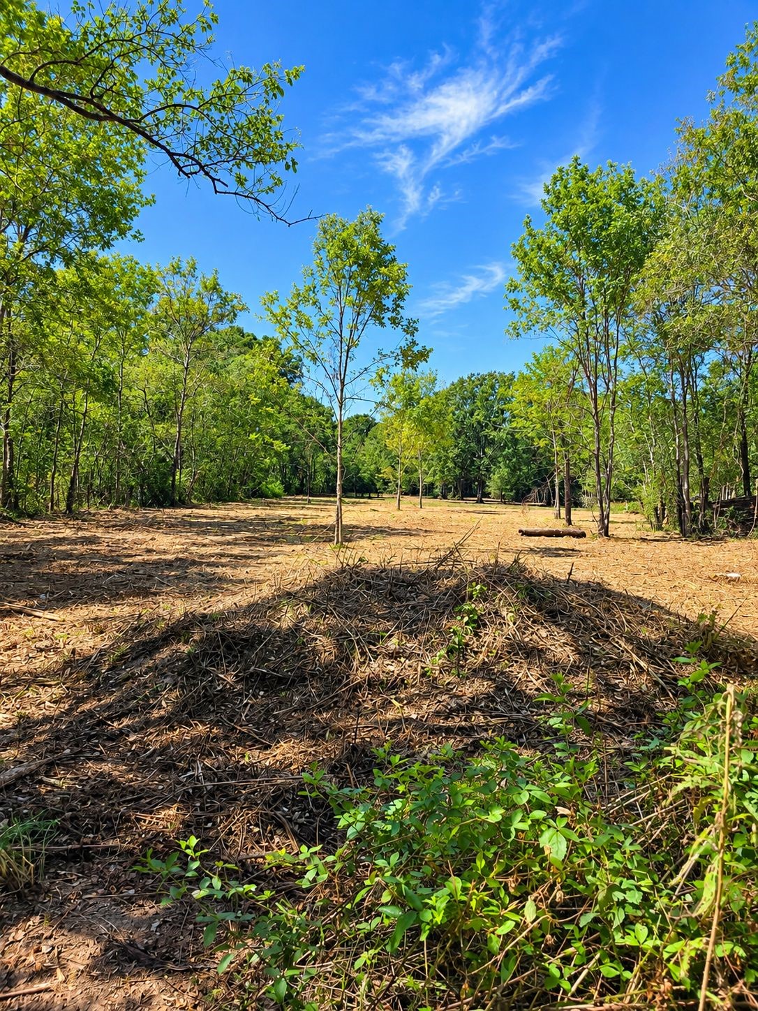 417 County Road 6881 N Property Photo 7