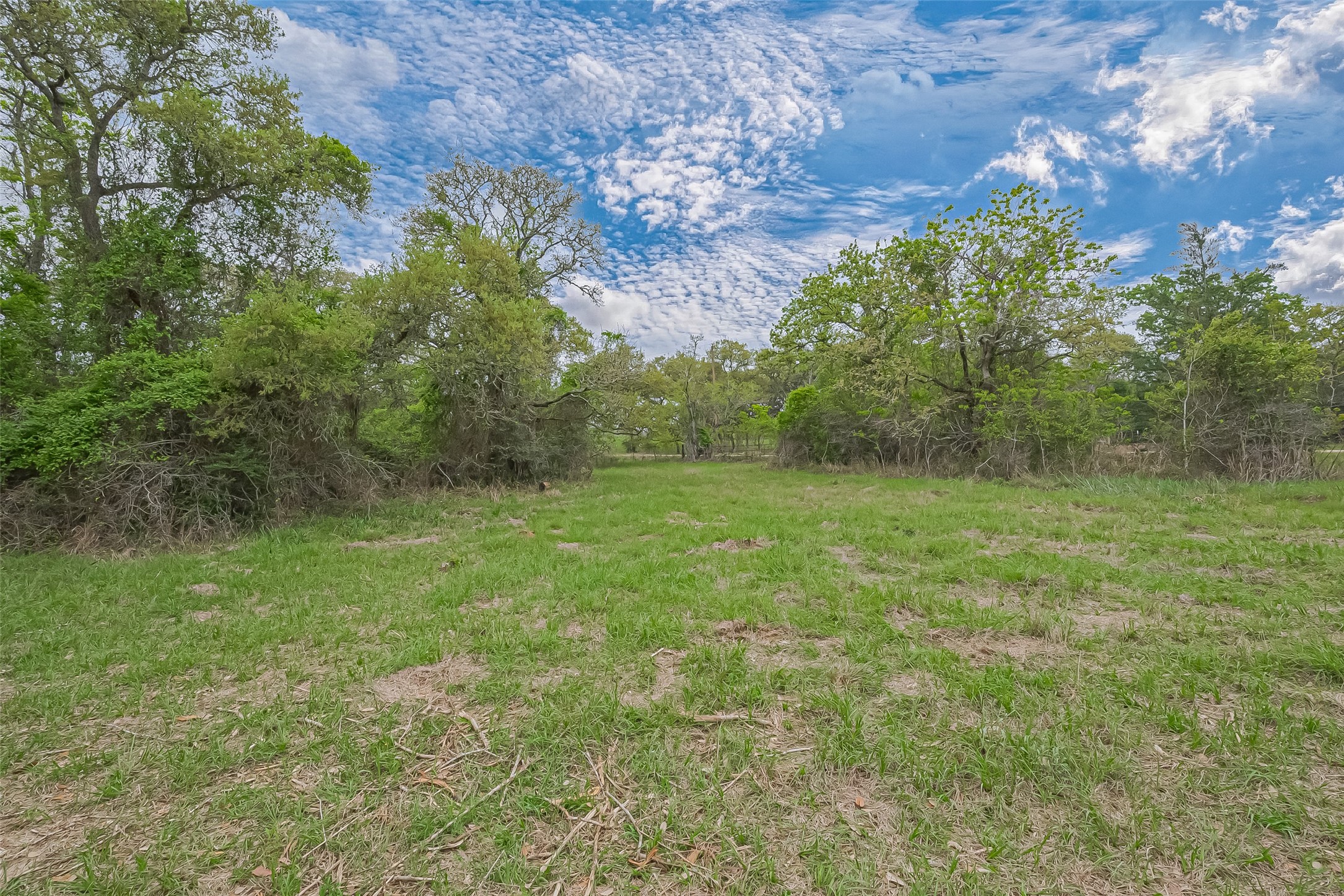 1105 Lakewood Lane Property Photo