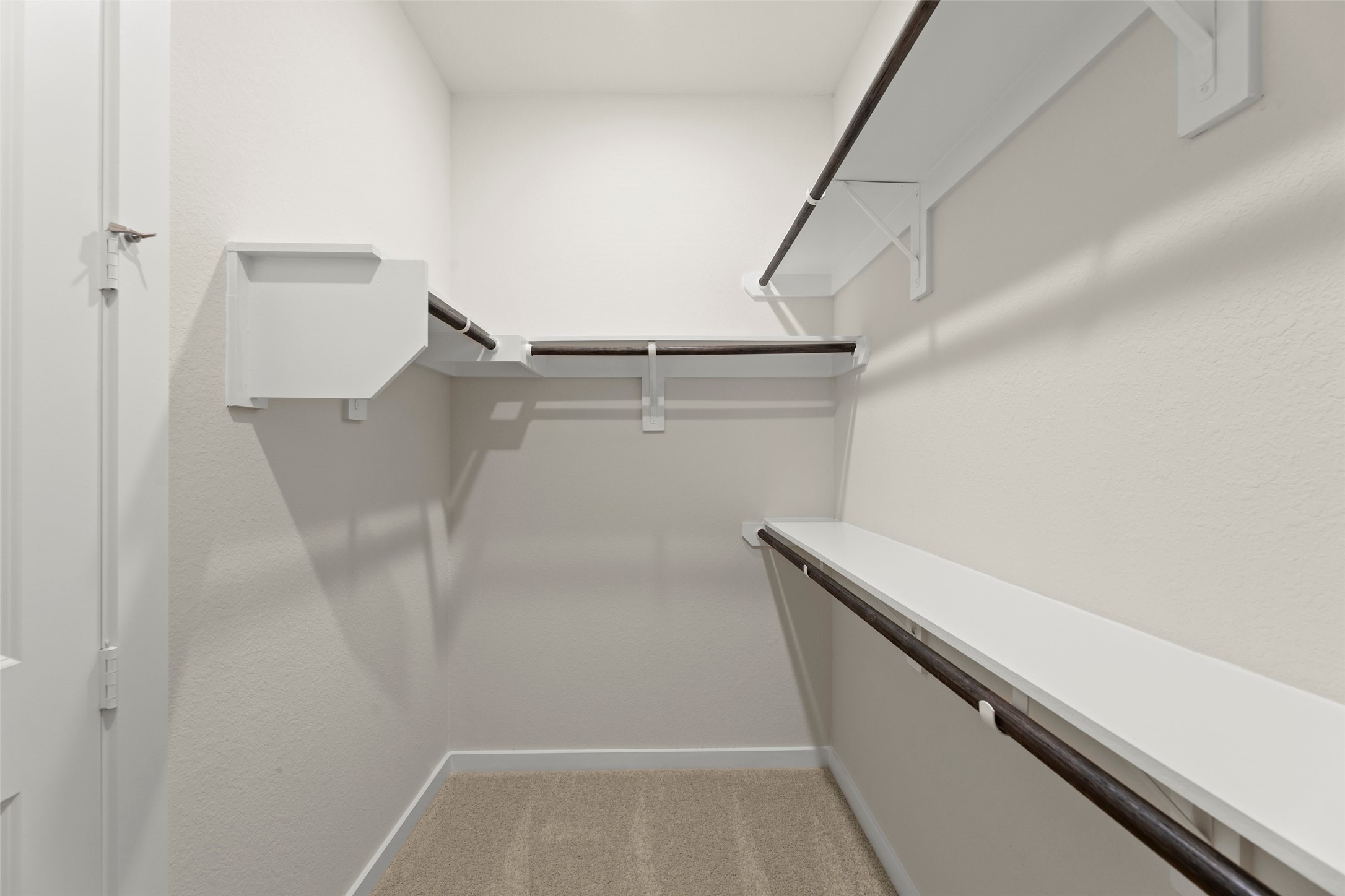 11210 Cassia Tree Lane Property Photo 16